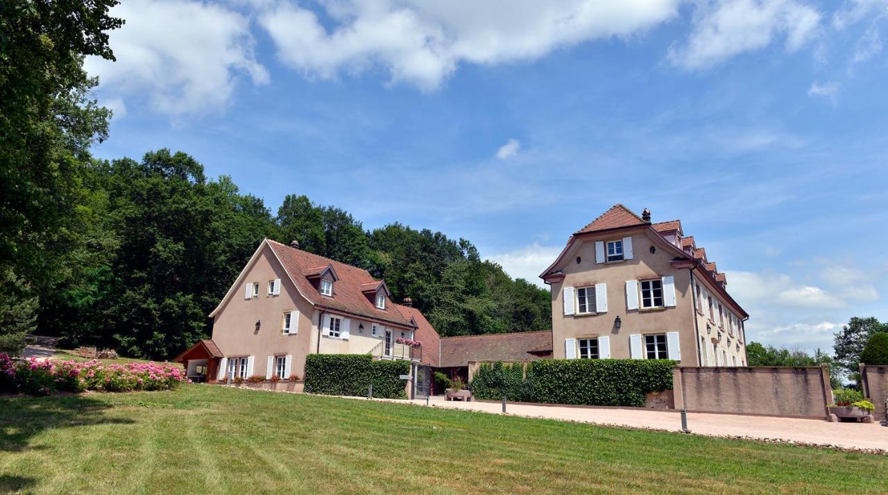 Maison D'Hotes Les Jardins De Madeleine Bernardvillé エクステリア 写真
