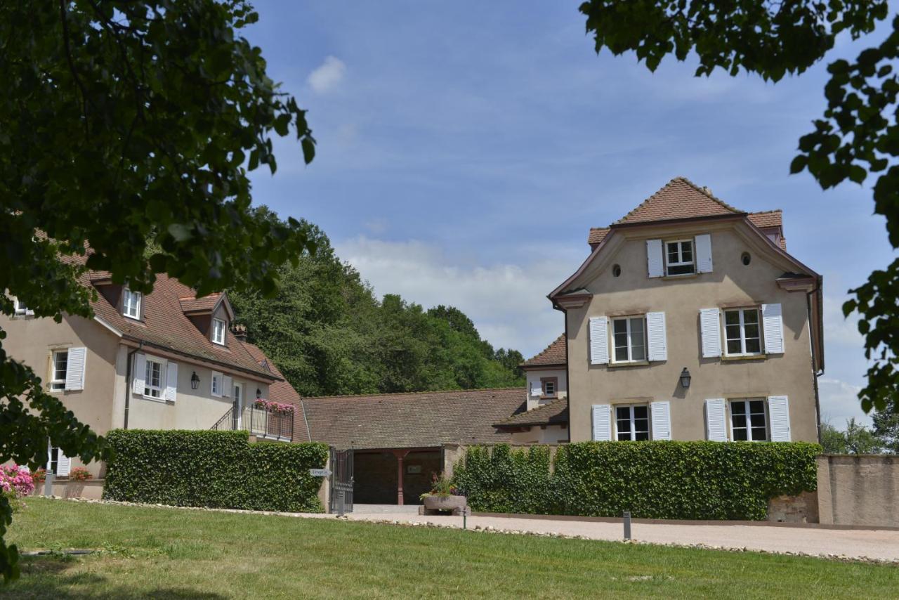 Maison D'Hotes Les Jardins De Madeleine Bernardvillé エクステリア 写真