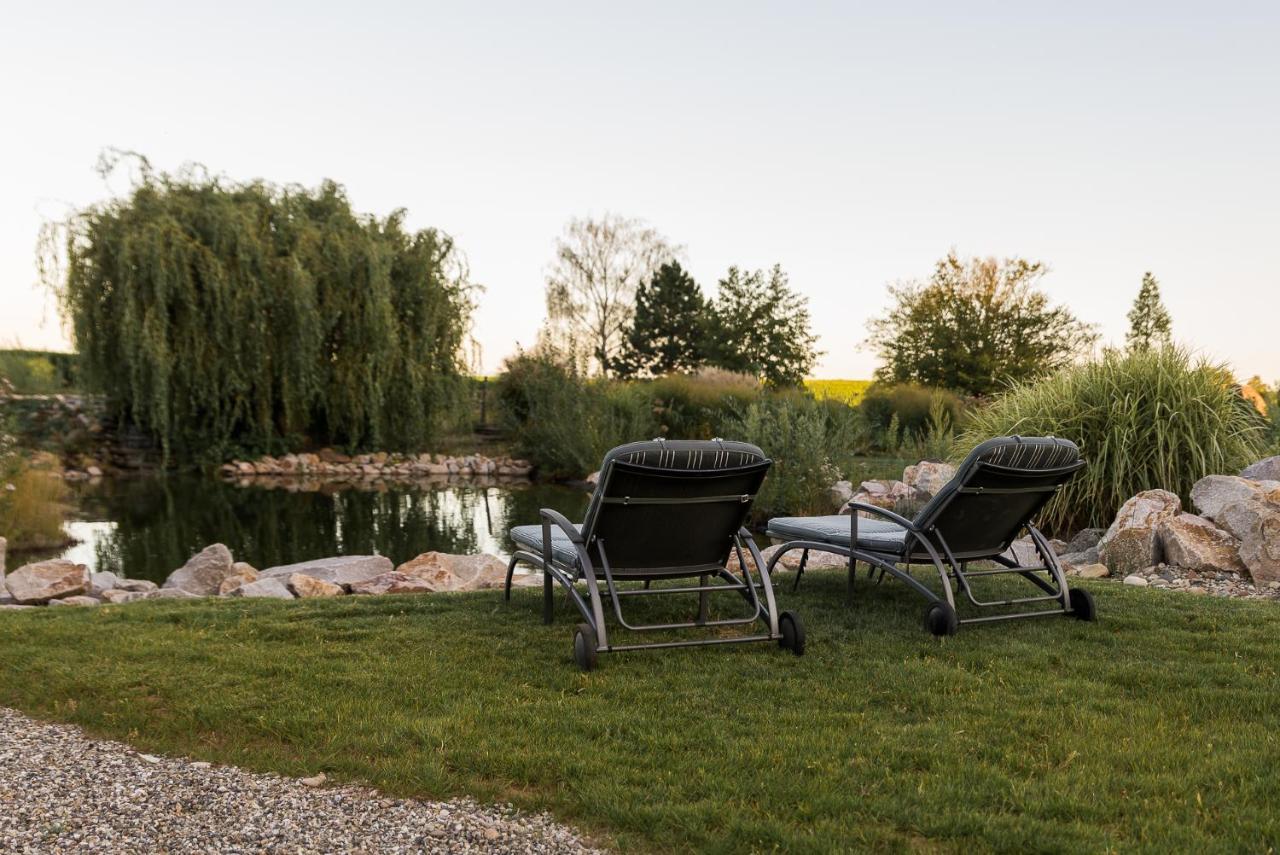 Maison D'Hotes Les Jardins De Madeleine Bernardvillé エクステリア 写真