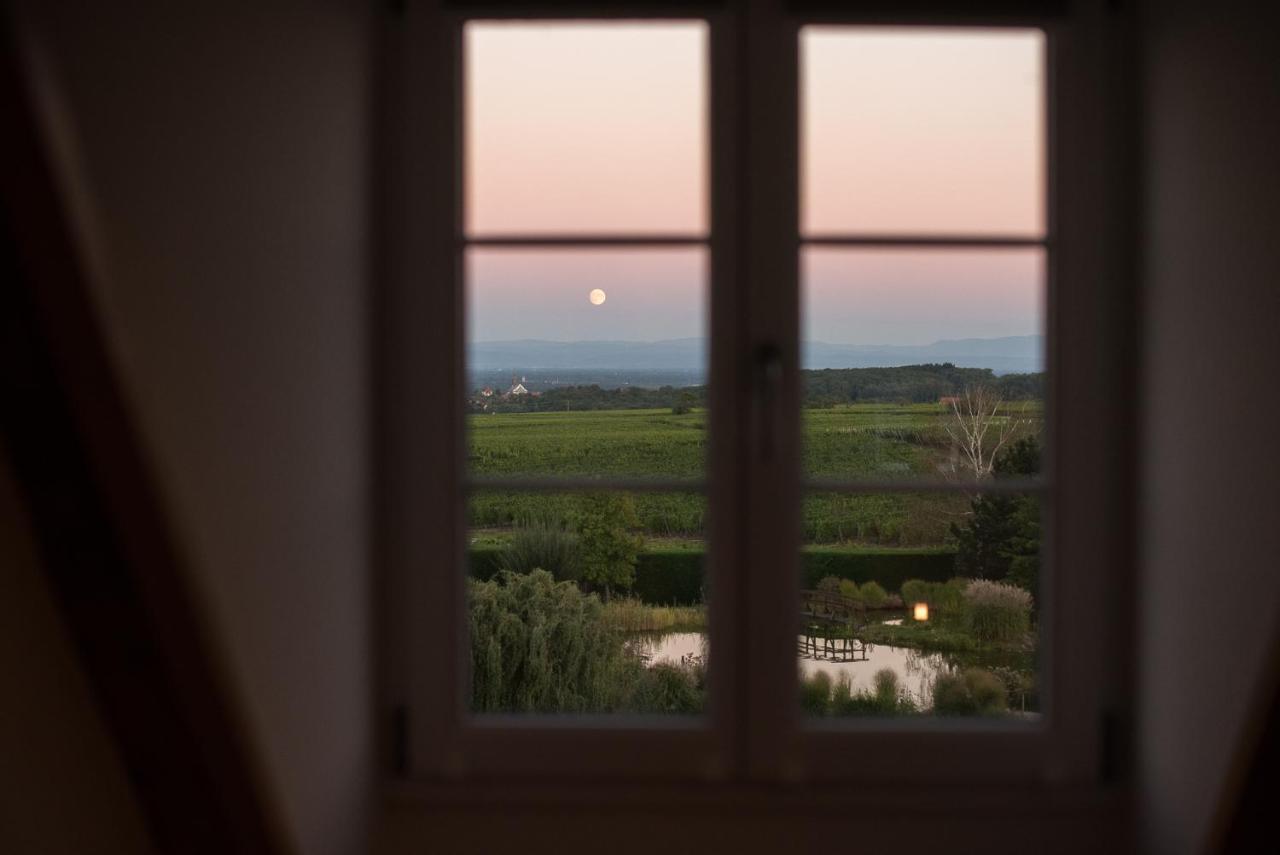 Maison D'Hotes Les Jardins De Madeleine Bernardvillé エクステリア 写真