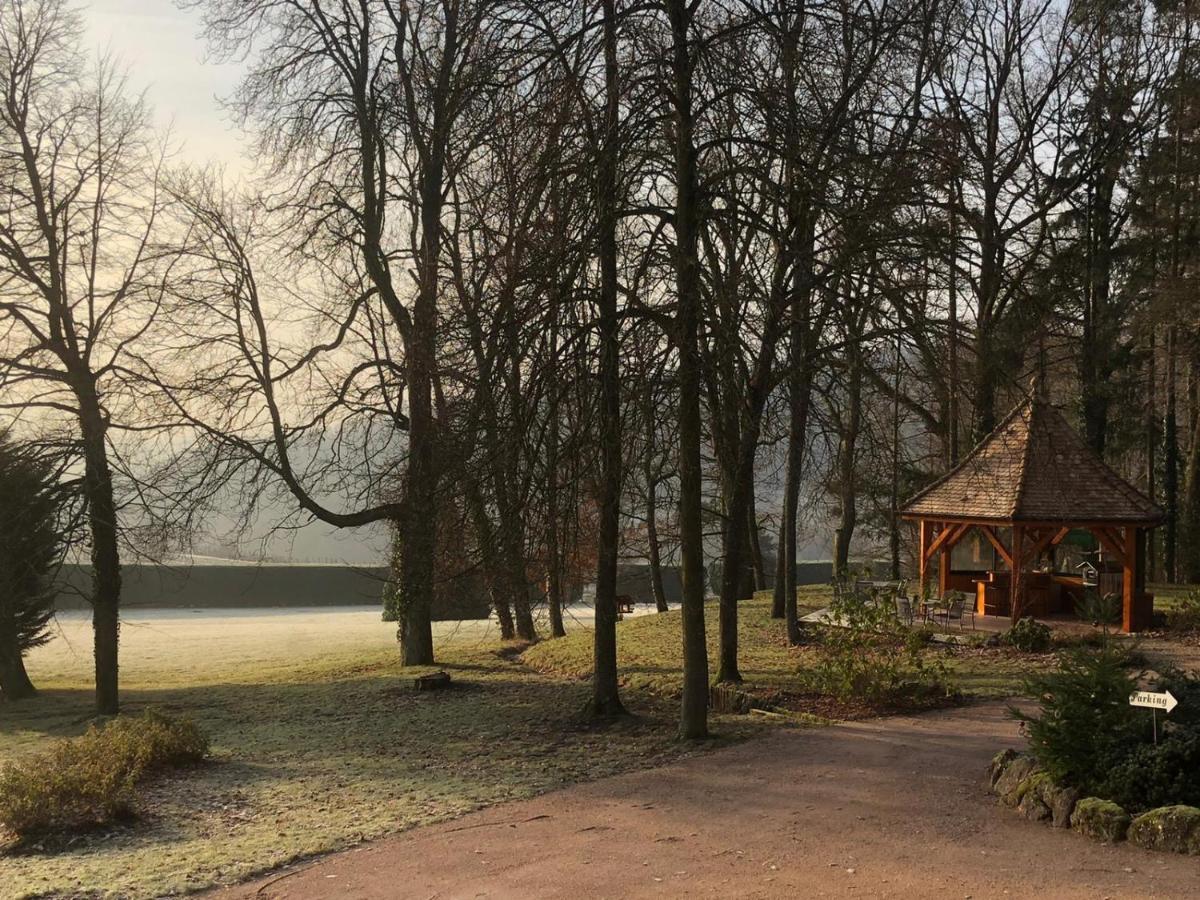 Maison D'Hotes Les Jardins De Madeleine Bernardvillé エクステリア 写真