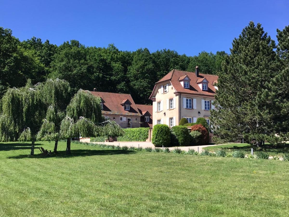 Maison D'Hotes Les Jardins De Madeleine Bernardvillé エクステリア 写真